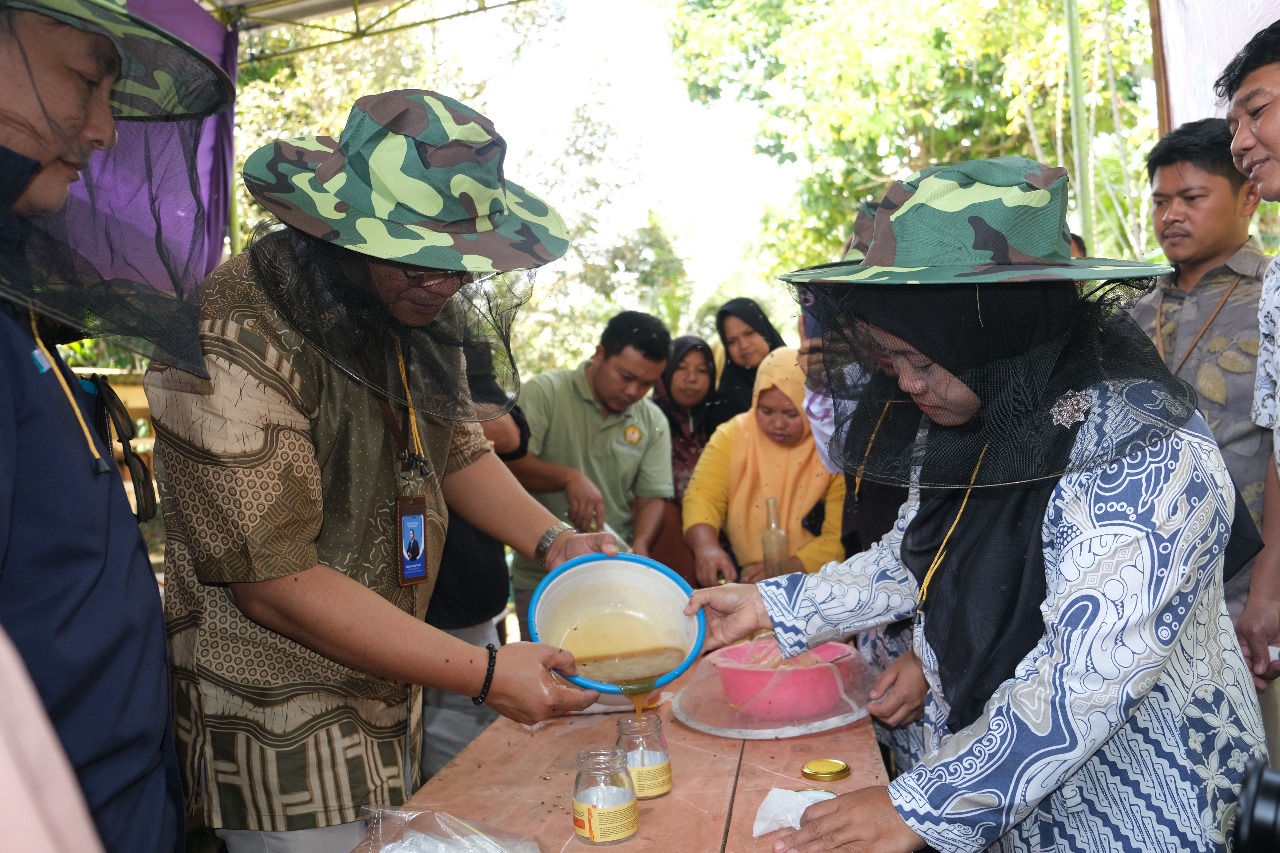 Muhammad Yusuf saat melakukan panen madu "Madu Saji" hasil Kolaborasi PIP dan UNSOED 